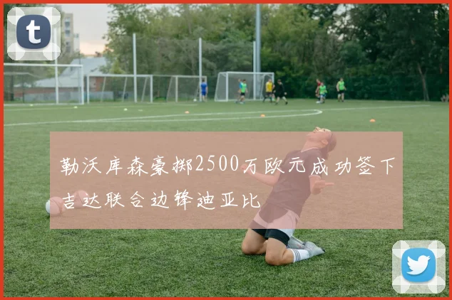 勒沃库森豪掷2500万欧元成功签下吉达联合边锋迪亚比